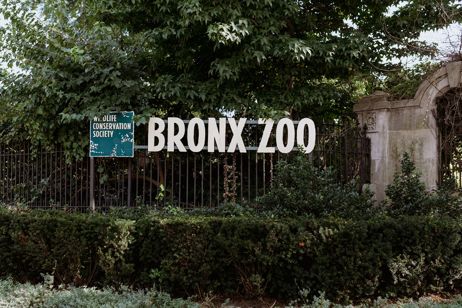 Bronx Zoo Wedding